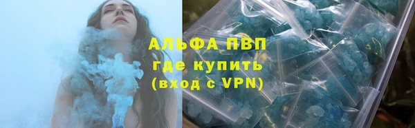 дмт Дмитровск