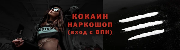 дмт Дмитровск